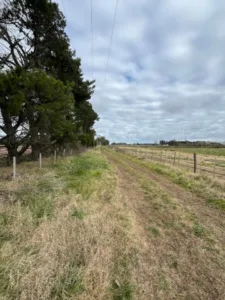 photo.12_16_19.937078