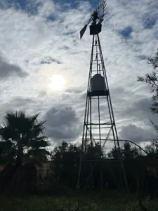 photo.12_16_19.968324