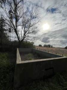 photo.12_16_19.983962