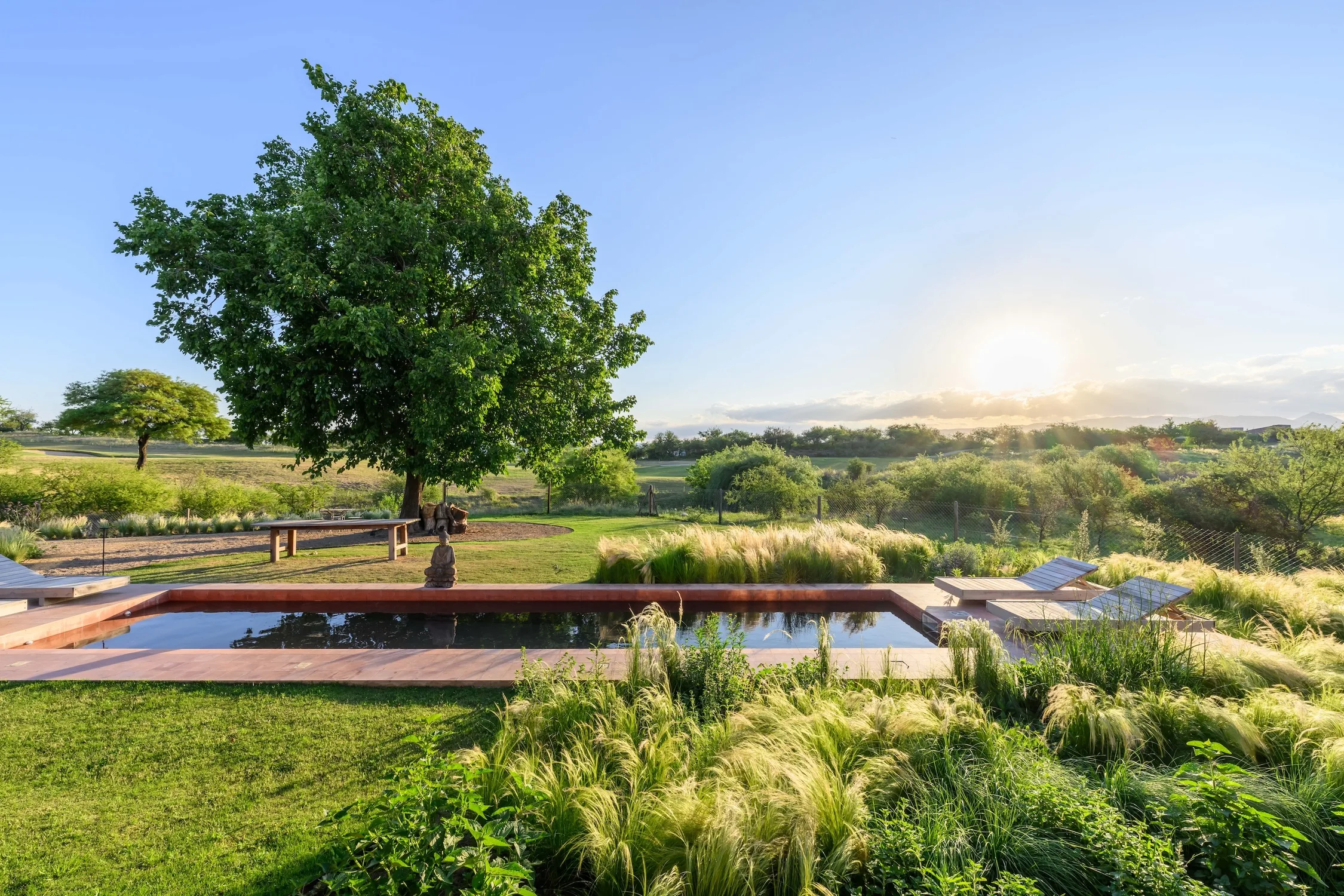 064 - 11-2025 - S BERTOTTI EL TERRON ph g viramonte-4217-HDR