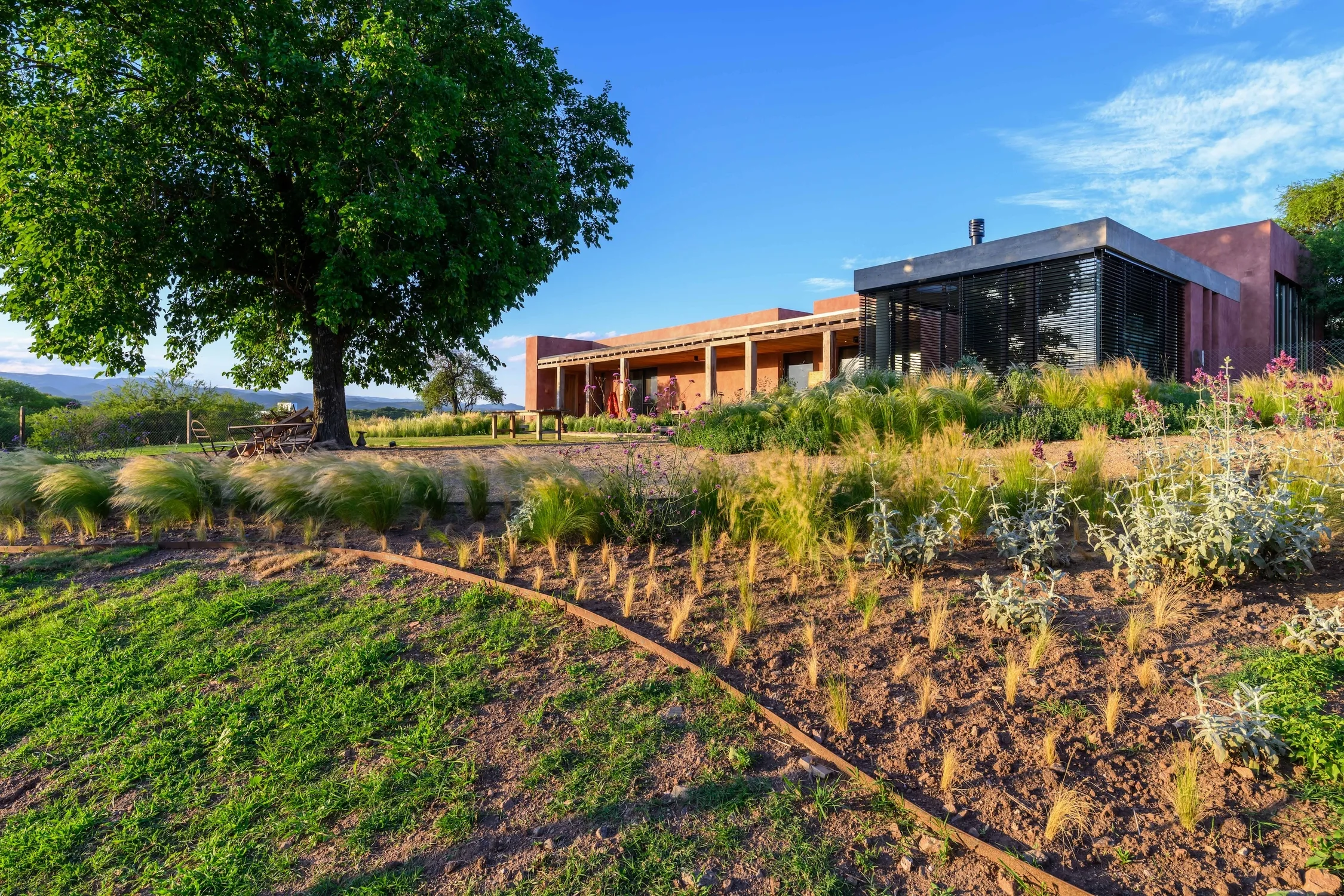 069 - 11-2025 - S BERTOTTI EL TERRON ph g viramonte-4244-HDR