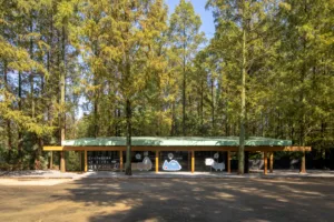 01-Forest Reception10