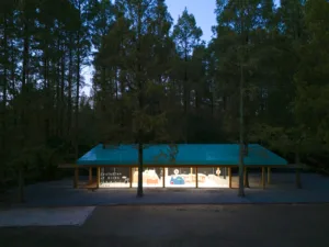 01-Forest Reception5