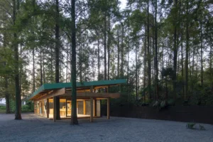 01-Forest Reception7