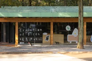 01-Forest Reception8