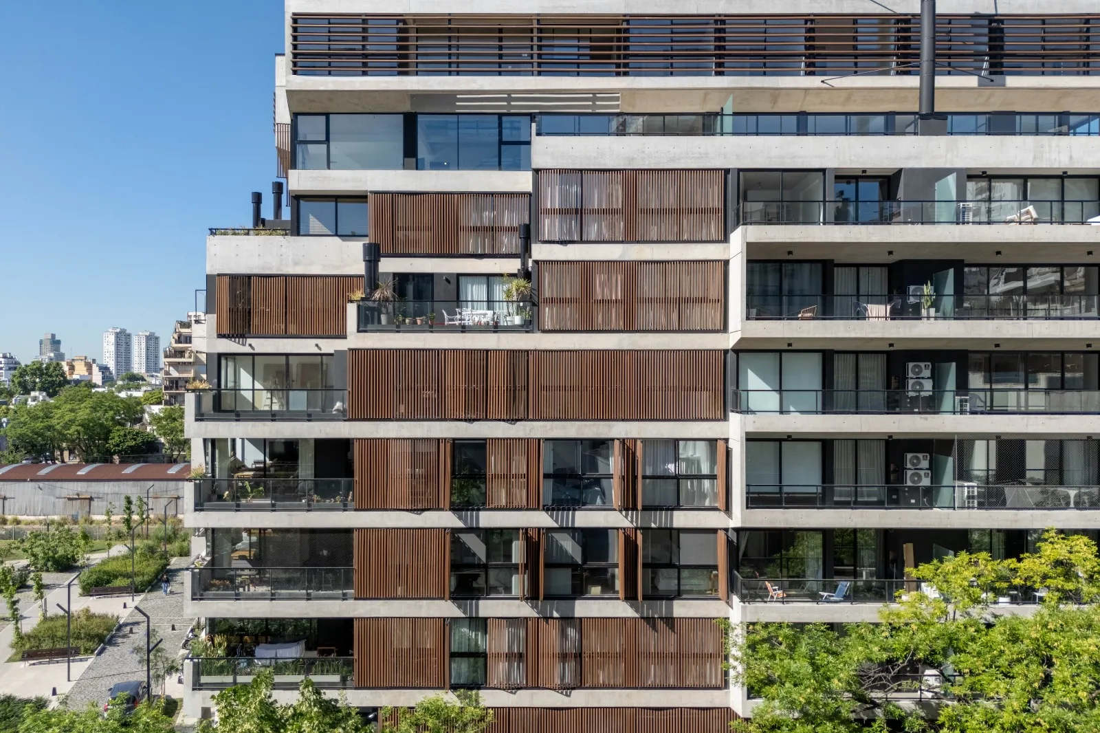 WhatsApp Image 2026-02-11 at 11.17.52 (10)