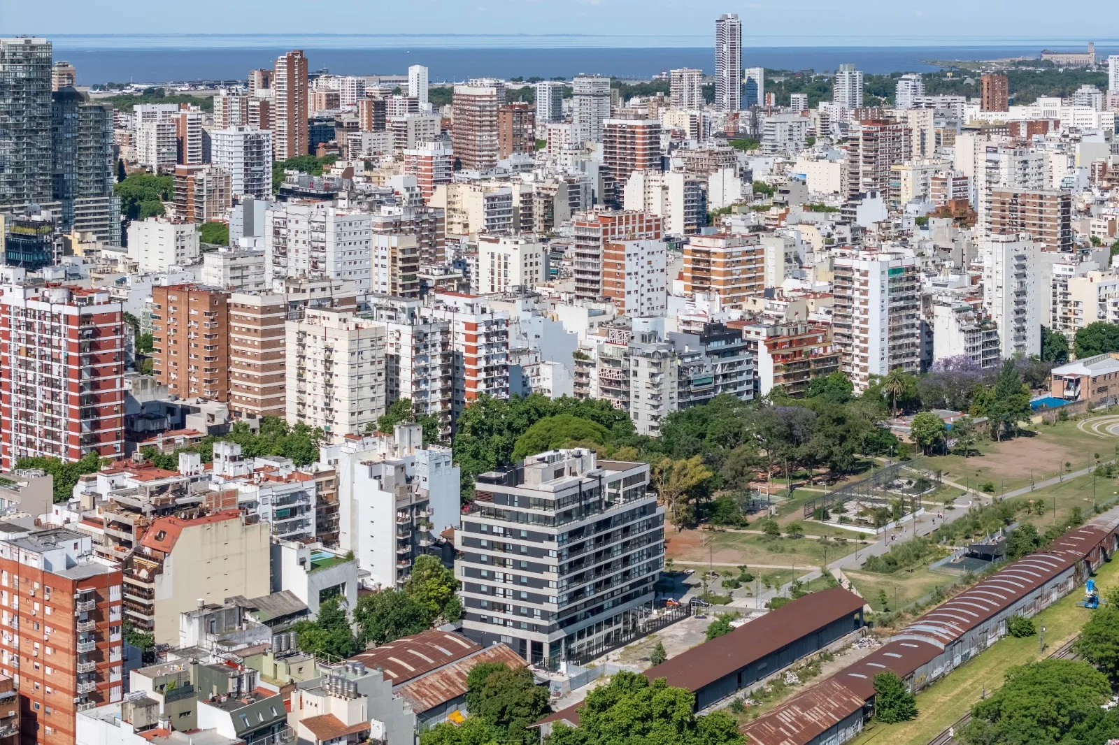 WhatsApp Image 2026-02-11 at 11.17.52 (18)