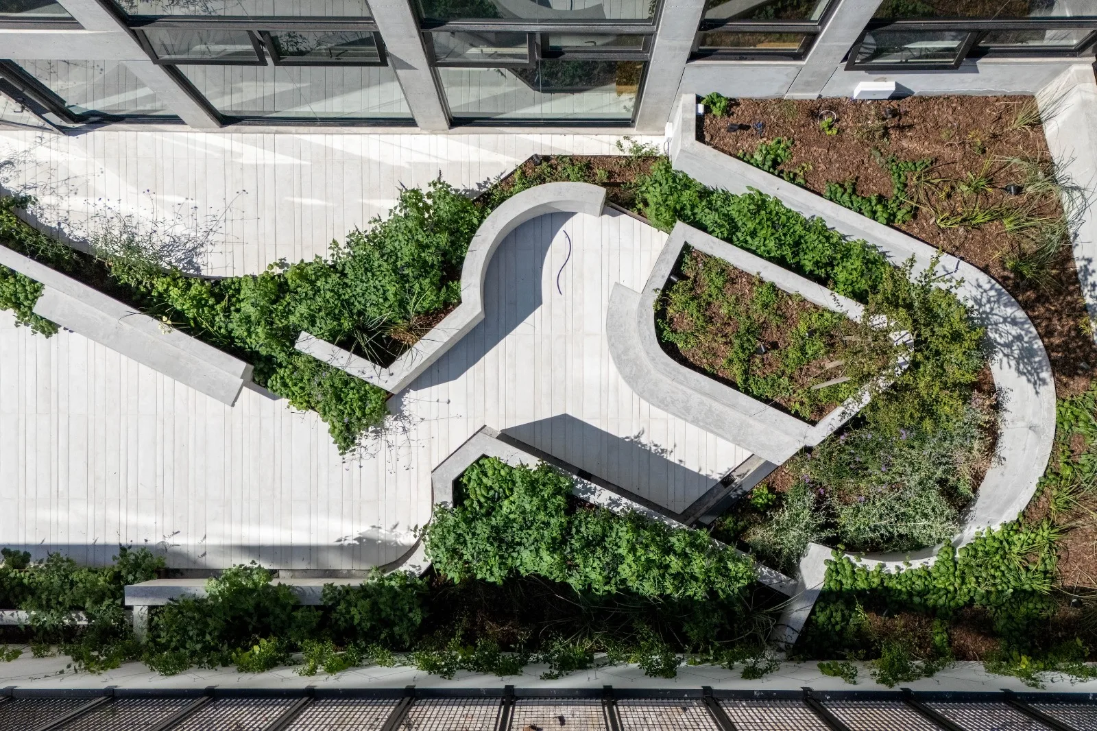 WhatsApp Image 2026-02-11 at 11.17.52 (19)