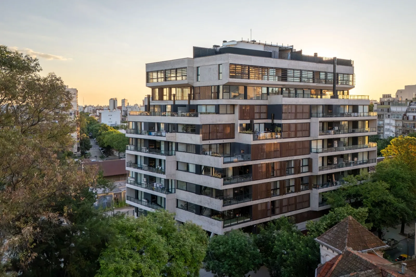 WhatsApp Image 2026-02-11 at 11.17.52 (28)