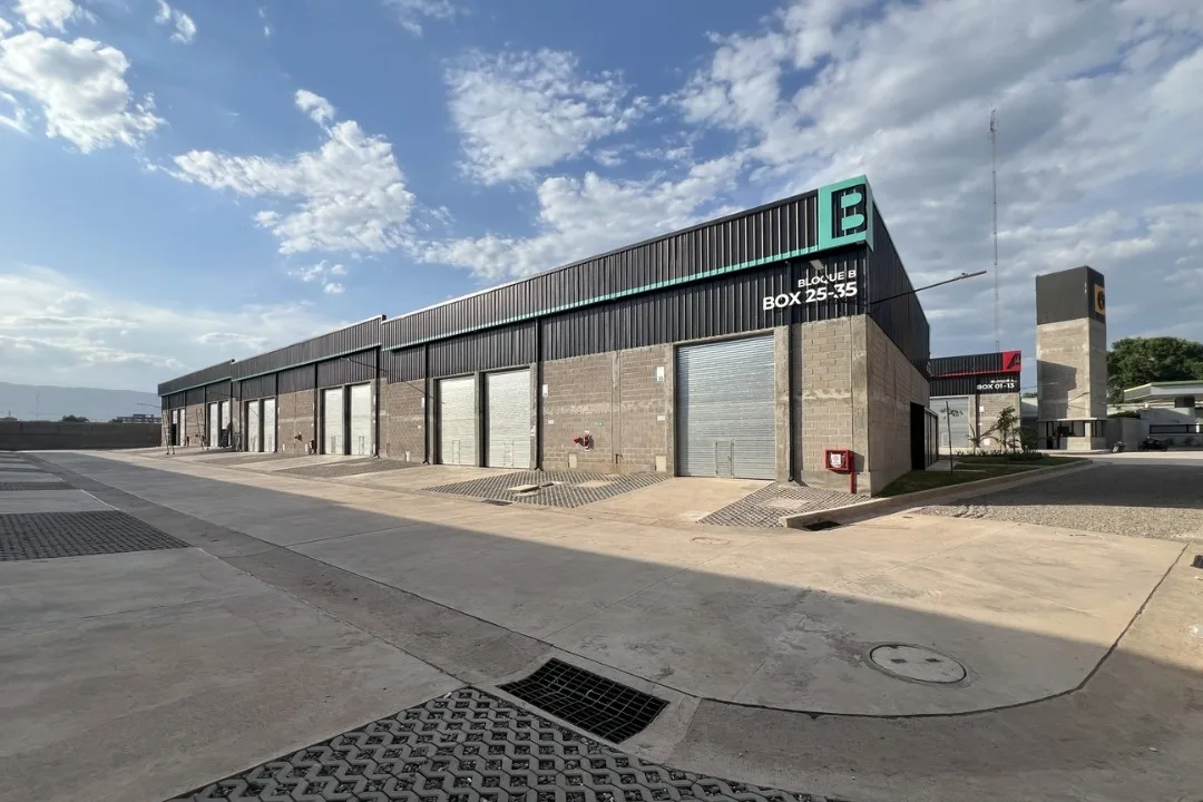 WhatsApp Image 2026-02-18 at 13.49.44