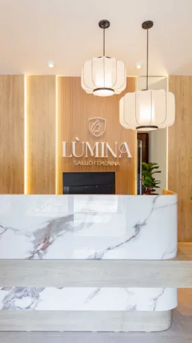 LUMINA (15) (1)