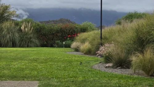 WhatsApp Image 2026-04-10 at 10.20.41