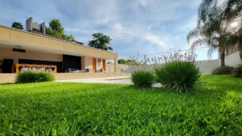 WhatsApp Image 2026-04-10 at 10.23.18