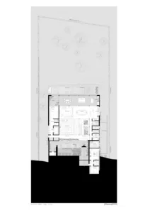 PLANTA NOBLE