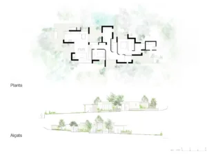 Butterfly-Planta