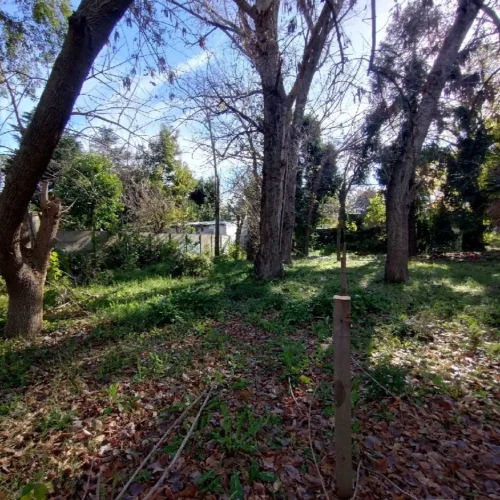 Inmueble en calle 16 – Esquina 491 – La Plata
